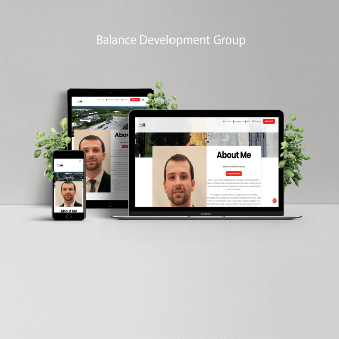 Balance Development Group